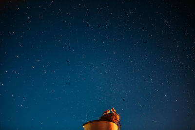 Low angle view of woman standing against sky at night