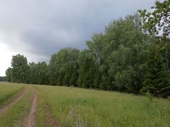 Trees on field against sky