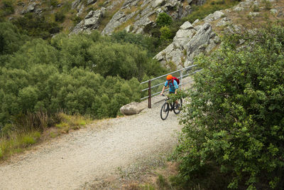 Man riding bicycle on road amidst trees