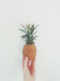 Close-up of cropped hand holding over white background