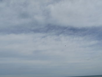 Low angle view of bird flying in sky