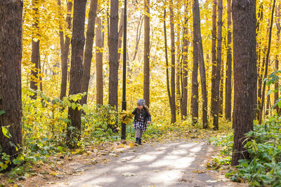 Rear view of people walking amidst trees in forest during autumn