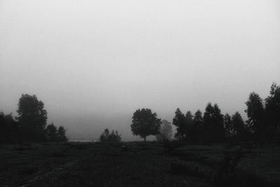 Trees on field against clear sky