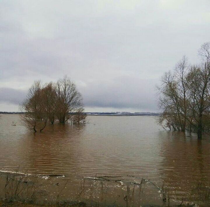 BARE TREES ON LAKE AGAINST SKY