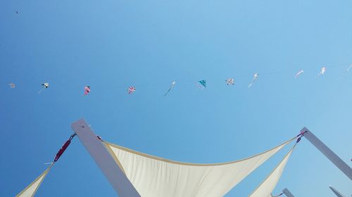 Low angle view of birds flying against clear blue sky