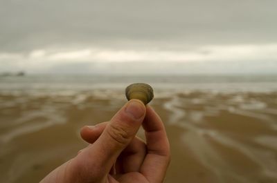 Midsection of person holding shell at beach against sky