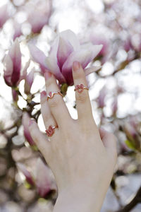 Close-up of hand on pink cherry blossom