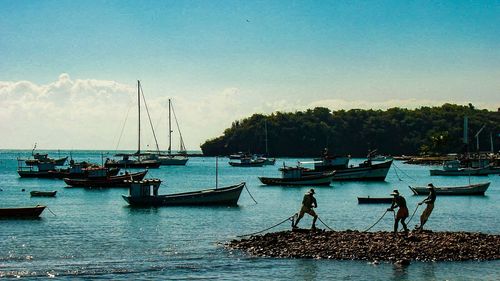 Boats moored at harbor against sky