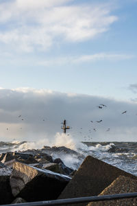 Birds flying over sea against sky