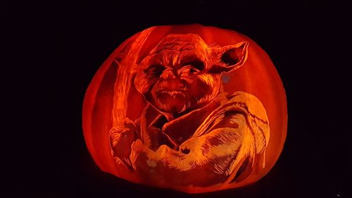 Close-up of pumpkin against black background