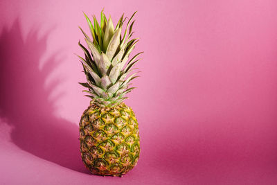 Close-up of fruits against white background