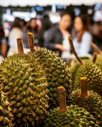 Close-up of fruits on cactus at market