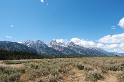 Scenic view of landscape and mountains against blue sky