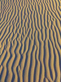 Full frame shot of sand dune