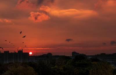 Silhouette bird flying over city against orange sky