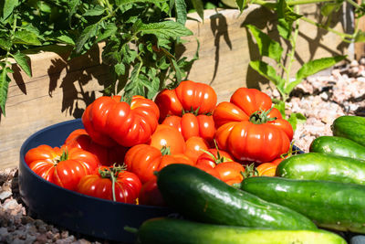 Closeup of home garden beefsteak tomatoes and cucumbers