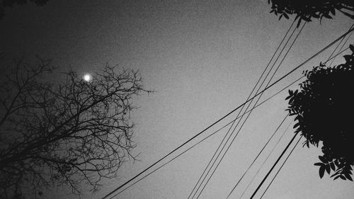 Low angle view of bare tree against clear sky