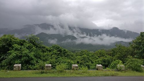 Scenic view of trees and mountains against sky