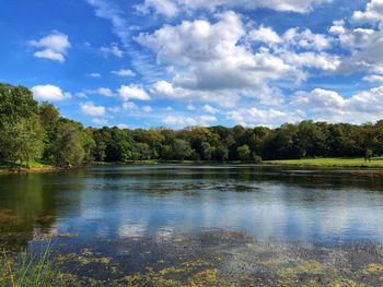 Scenic view of lake in forest against sky