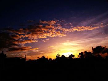 Silhouette of trees at sunset