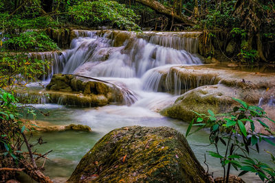 Scenic view of waterfall in forest