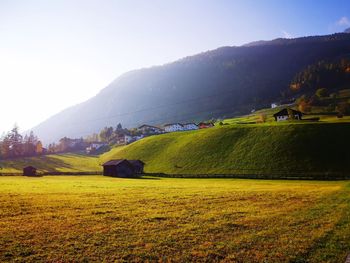 Scenic view of field against sky