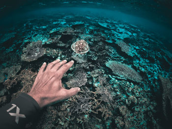 Close-up of hand on rock by sea