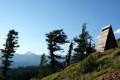 Low angle view of trees and mountains against clear sky