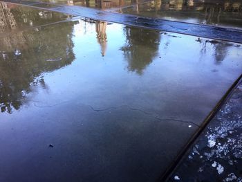 Reflection of trees in puddle