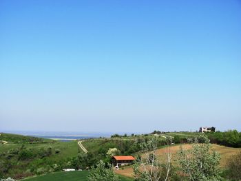 Scenic view of field against clear blue sky