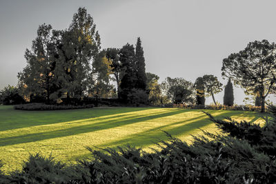 Scenic view of grassy field against sky