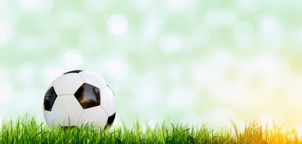 Close-up of soccer ball on field