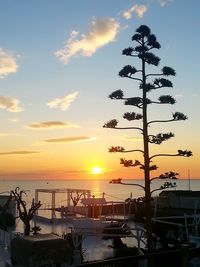 Scenic view of sea at sunset