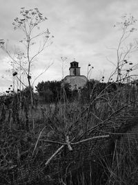 Plants on field by building against sky