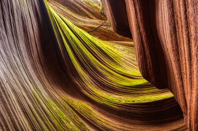 The texture of rocks in yucha canyon, shanxi, china. 