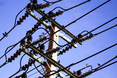 Low angle view of branches against sky