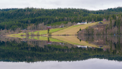 Scenic view of landscape against sky