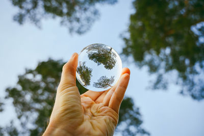 Low angle view of cropped hand holding crystal ball against trees