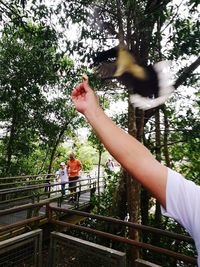 Low angle view of person hand on railing against trees