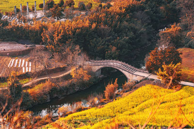 Arch bridge over river during autumn