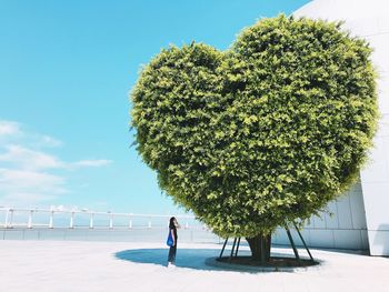 Woman standing by heart shaped tree against sky