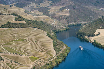 Vineyards in the douro river, alto douro wine valley