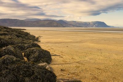 Across the bay on a llandudno beach