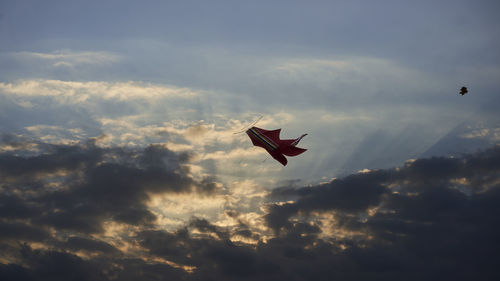 Low angle view of bird flying in sky