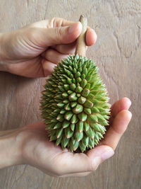Close-up of hand holding fruit