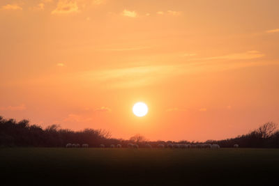 Scenic view of sunset over field