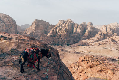 Rear view of man walking on mountain against sky