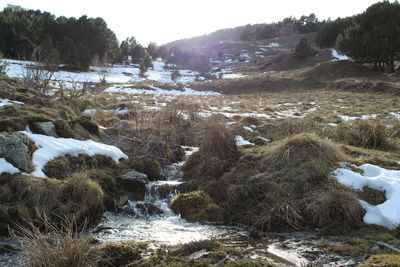 Scenic view of river amidst trees during winter