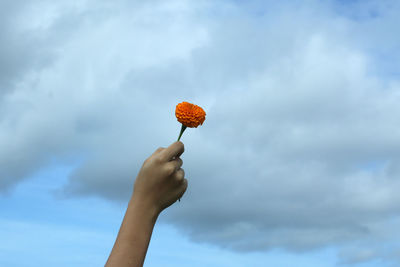 Low angle view of hand holding orange marugold flower against blue sky. 