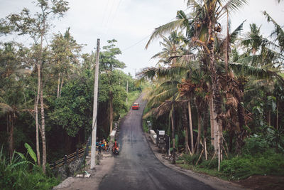 Road amidst trees against sky